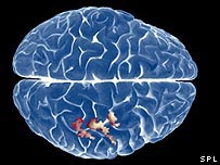 Stimulation du Cerveau par les Images Subliminales