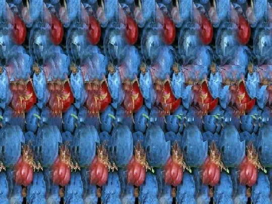 stéréogramme facile avec image 3D cachée