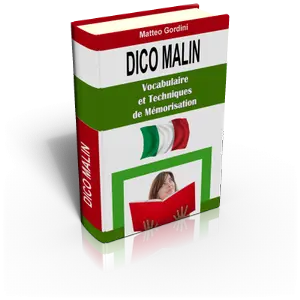Couverture — Dico Malin